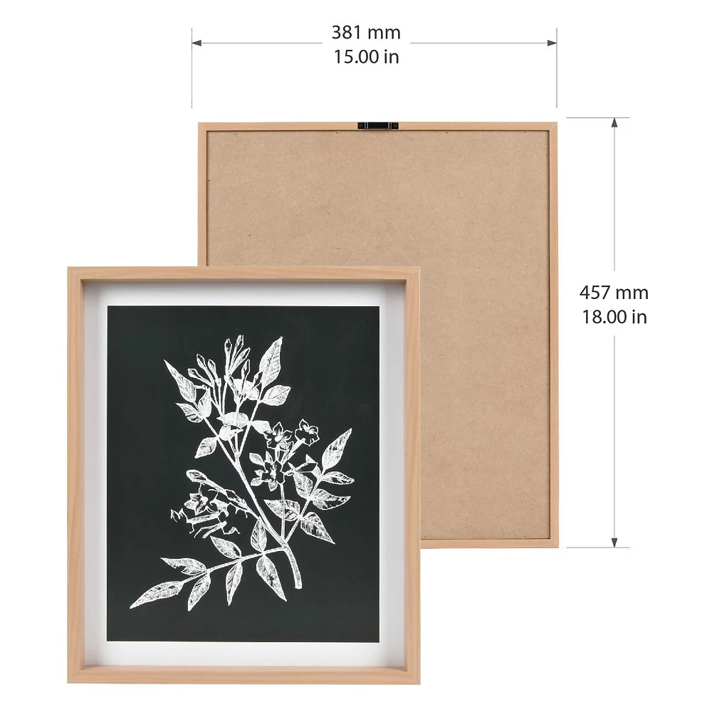 Sonoma Goods For LifeĀ® Printed Wood Frame Reverse Botanical Wall Decor - Image 4