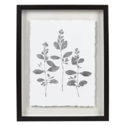 Sonoma Goods For Life® Botanical Shadowbox Framed Wall Art