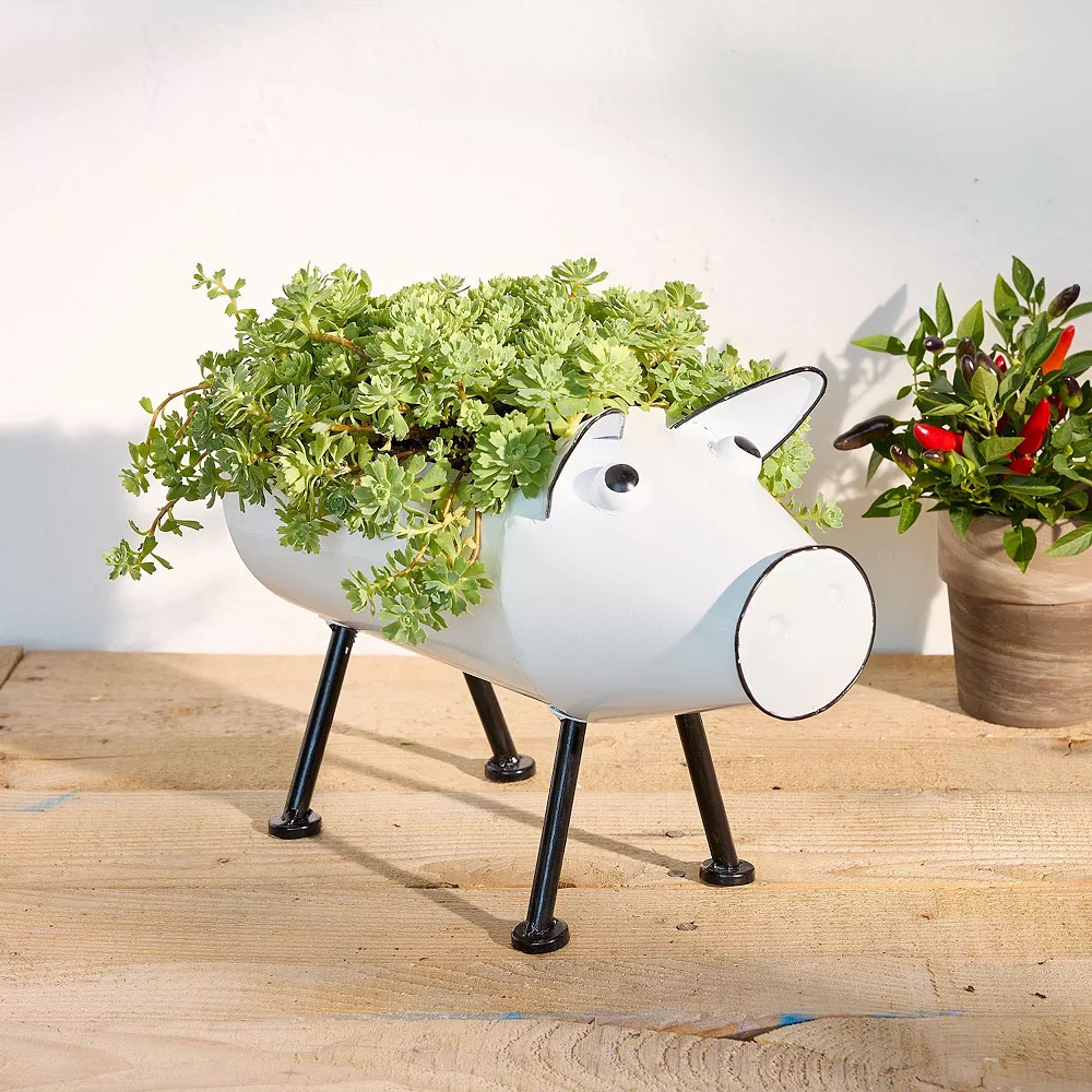 Sonoma Goods For LifeĀ® Pig Planter Table Decor - Image 2
