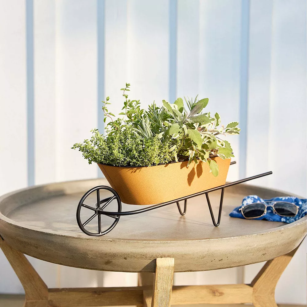 Sonoma Goods For LifeĀ® Wheel Barrow Planter Table Decor - Image 2