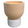 Sonoma Goods For Life® Coral Pedestal Concrete Planter